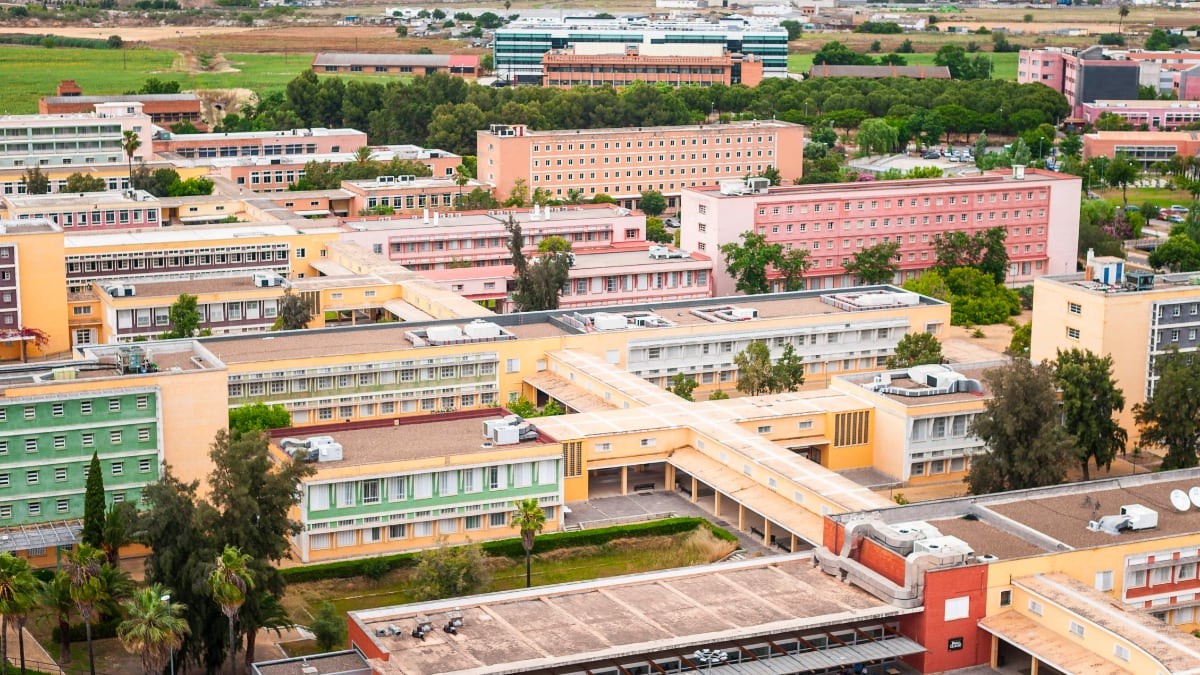 La Universidad de Pablo de Olavide en Sevilla oferta una bolsa de trabajo para titulados en grado medio