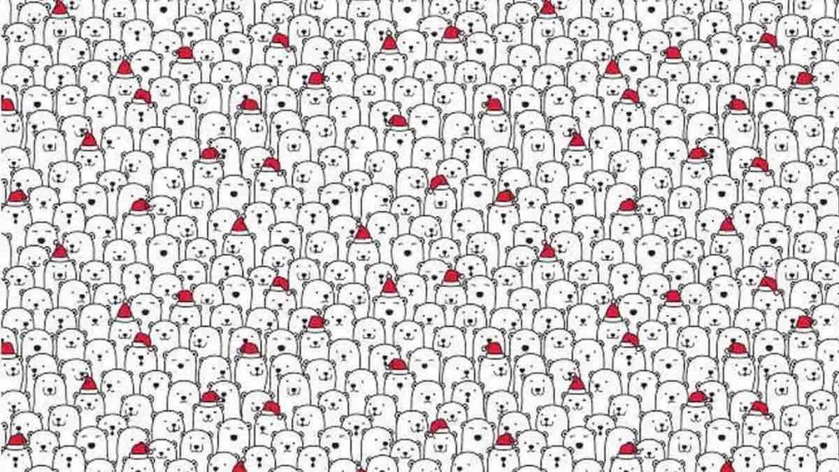 ¿Puedes encontrar al perrito entre los osos polares?