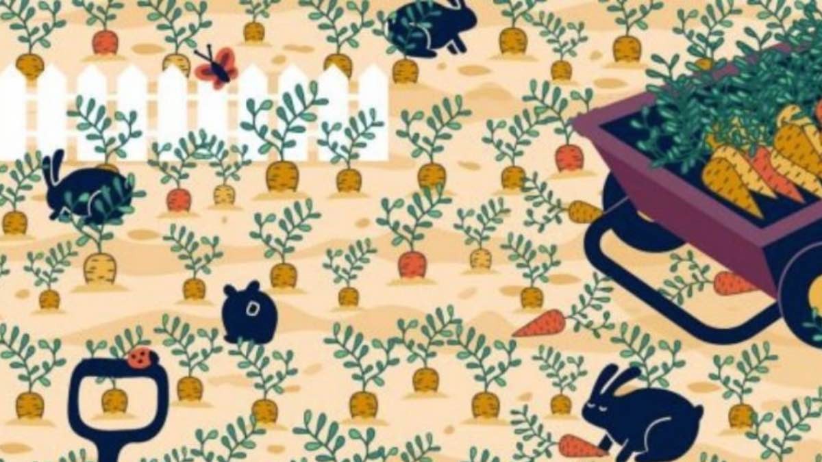 Este reto visual es solo para Expertos: muy pocos pudieron encontrar el anillo ¿te atreves?