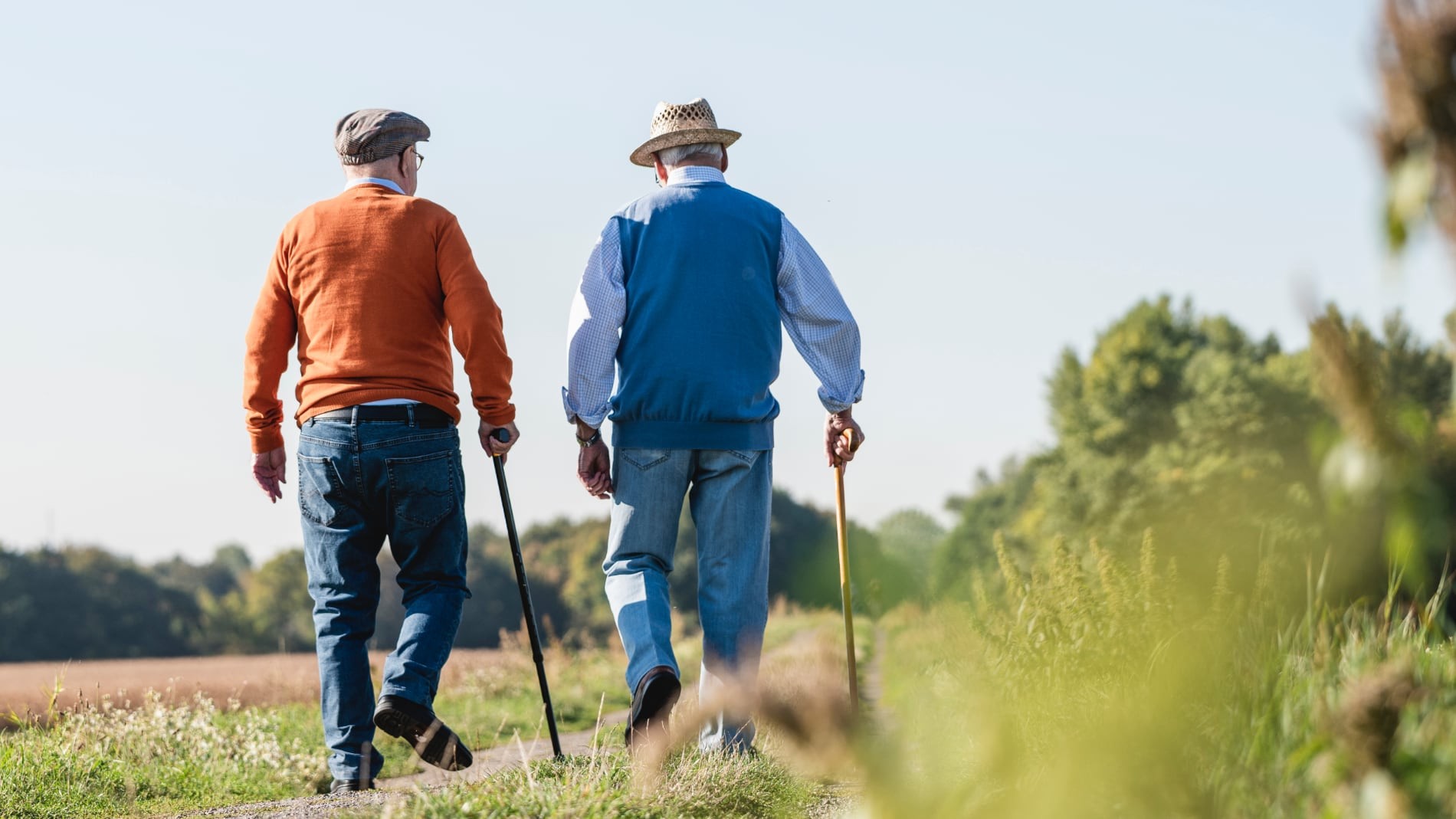 Jubilación especial a los 64 años y con el 100% de la pensión: quién puede solicitarla