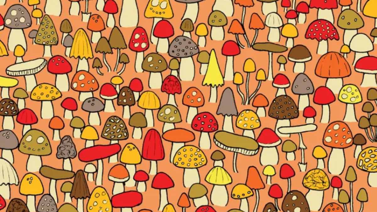 El reto visual que solo resolvió el 9% de los jugadores: ¿Dónde está el ratón? Tienes 15 segundos