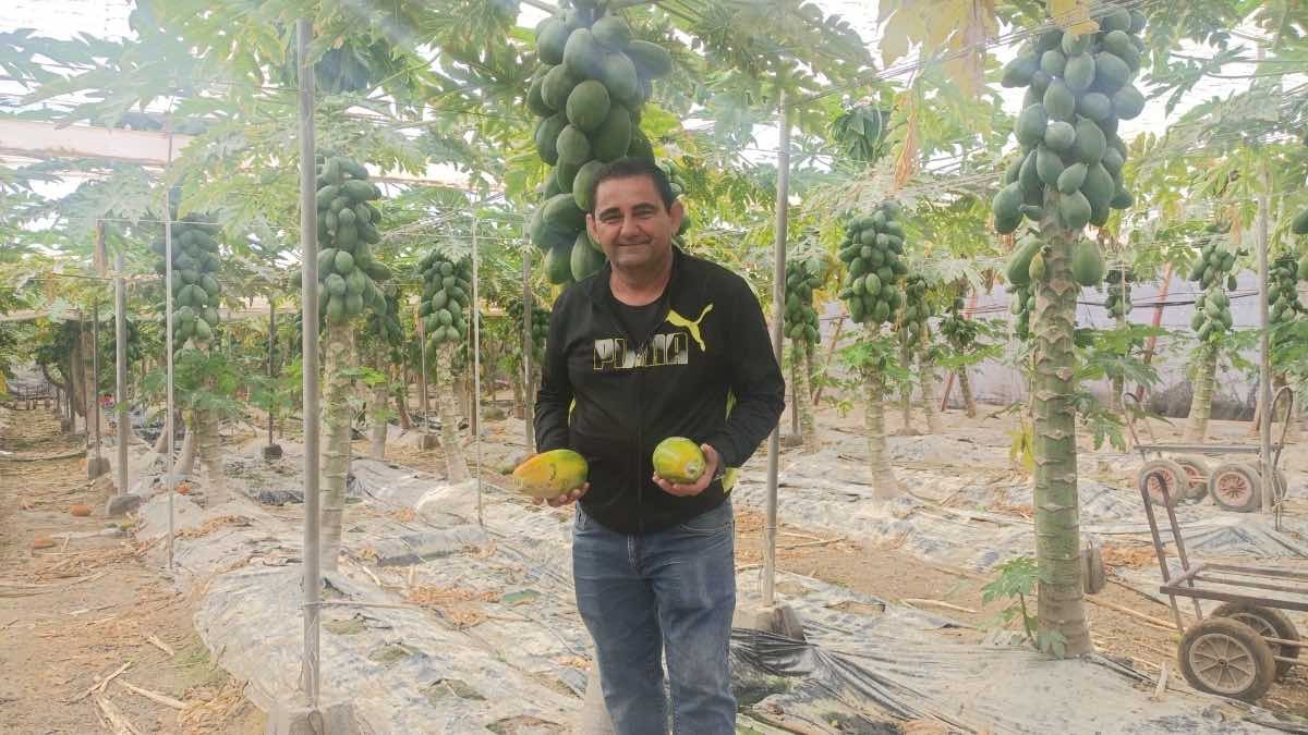 Batalla de un autónomo: cuando la sequía convierte a la agricultura en negocio de éxito