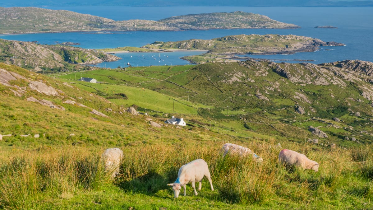 Costa de Irlanda del Norte