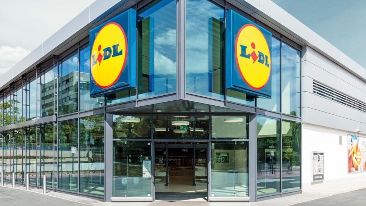 Las chaquetas de Lidl ideales para este otoño, las hay desde los 8,99 euros y de marcas como Adidas o Puma