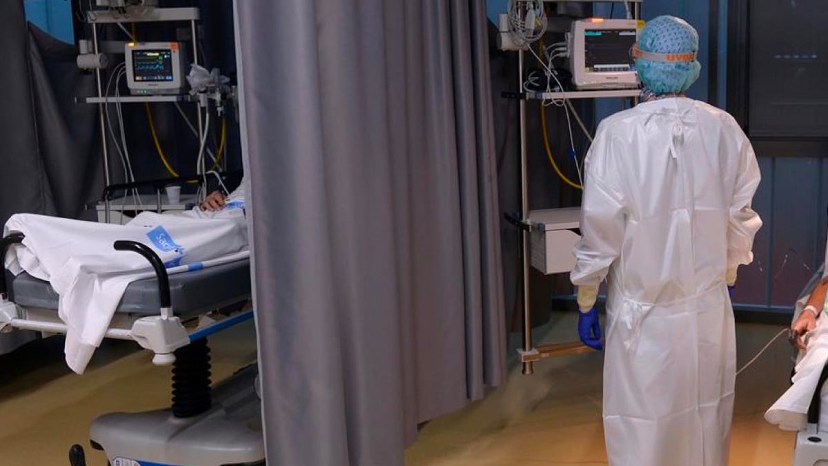 Médicos del MIR