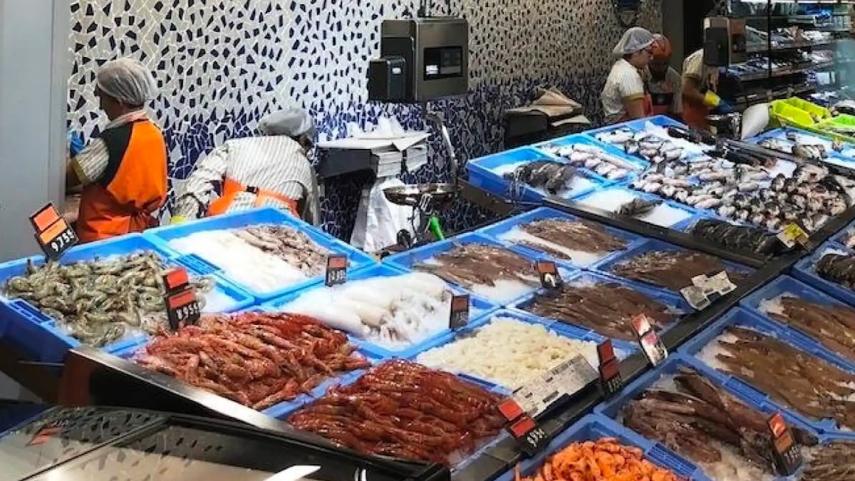 Este es el pescado igual de saludable que el salmón y mucho más barato