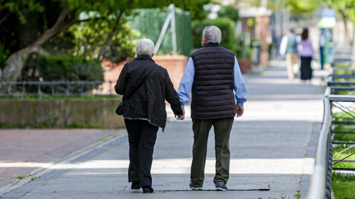 pareja de pensionistas paseando en un parque