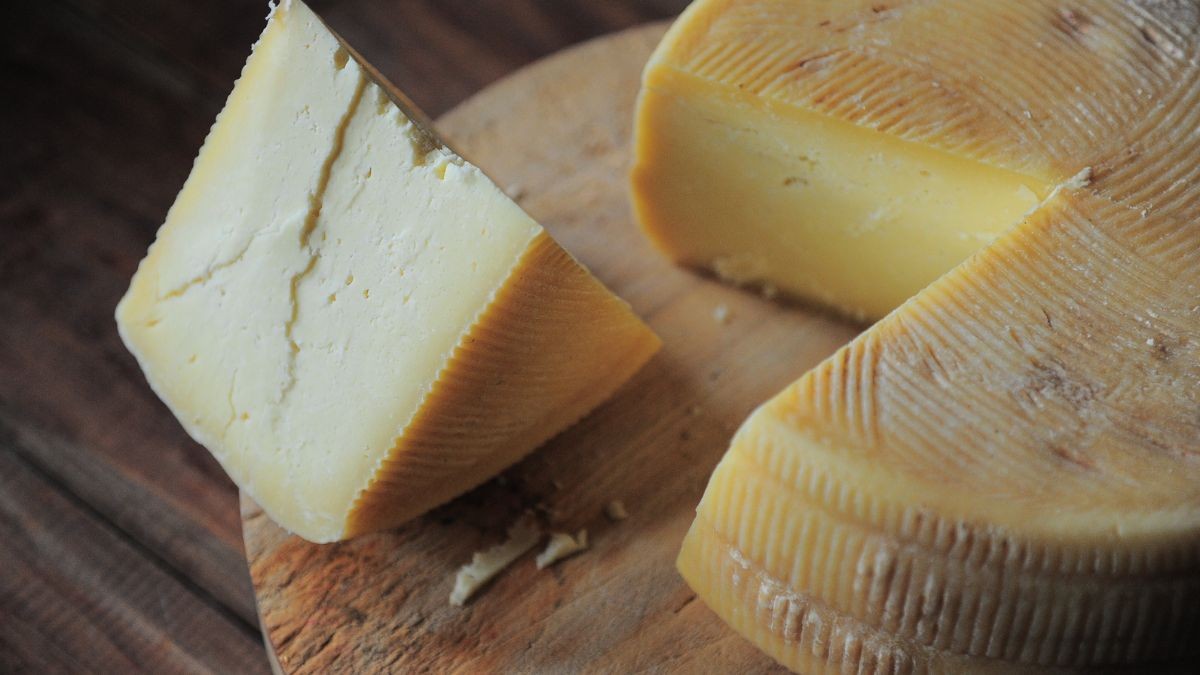 Retiran de los supermercados este queso por la presencia de E. coli y se recomienda no consumir Queso