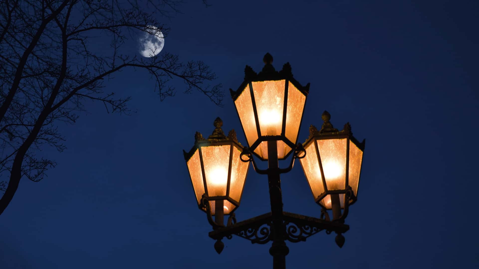 Precio de la luz jueves 23 de mayo de 2024 Una farola ilumina en la oscuridad
