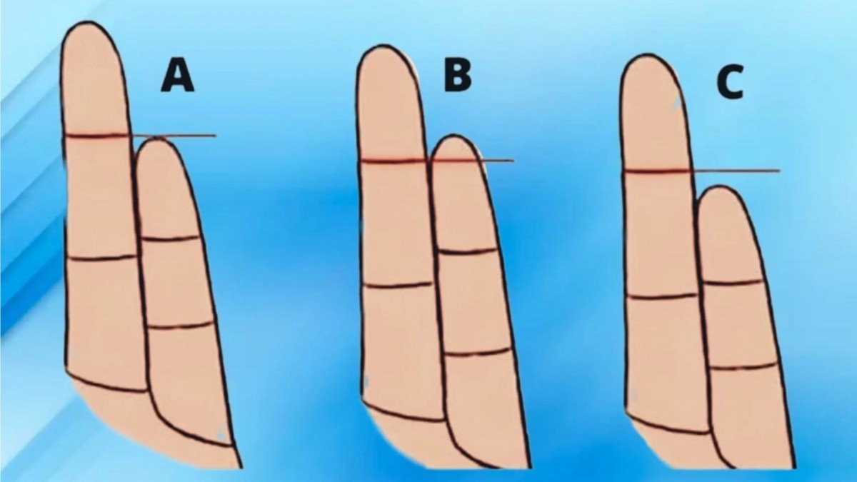 Conoce su personalidad según la forma de tus dedos: el meñique tiene la respuesta Imagen comparativa de altura de dedo meñique con respecto al dedo anular