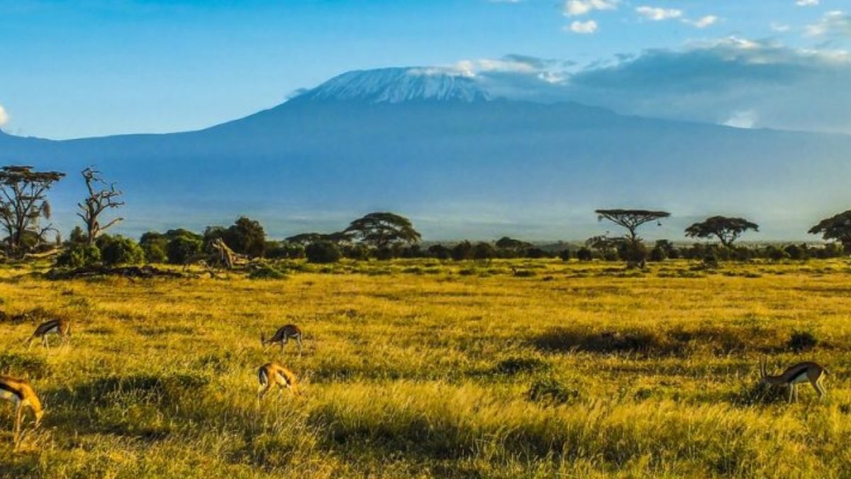 Paisaje de la sabana africana