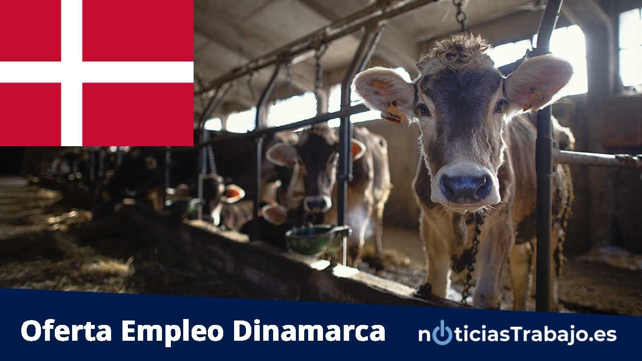 empleo Dinamarca