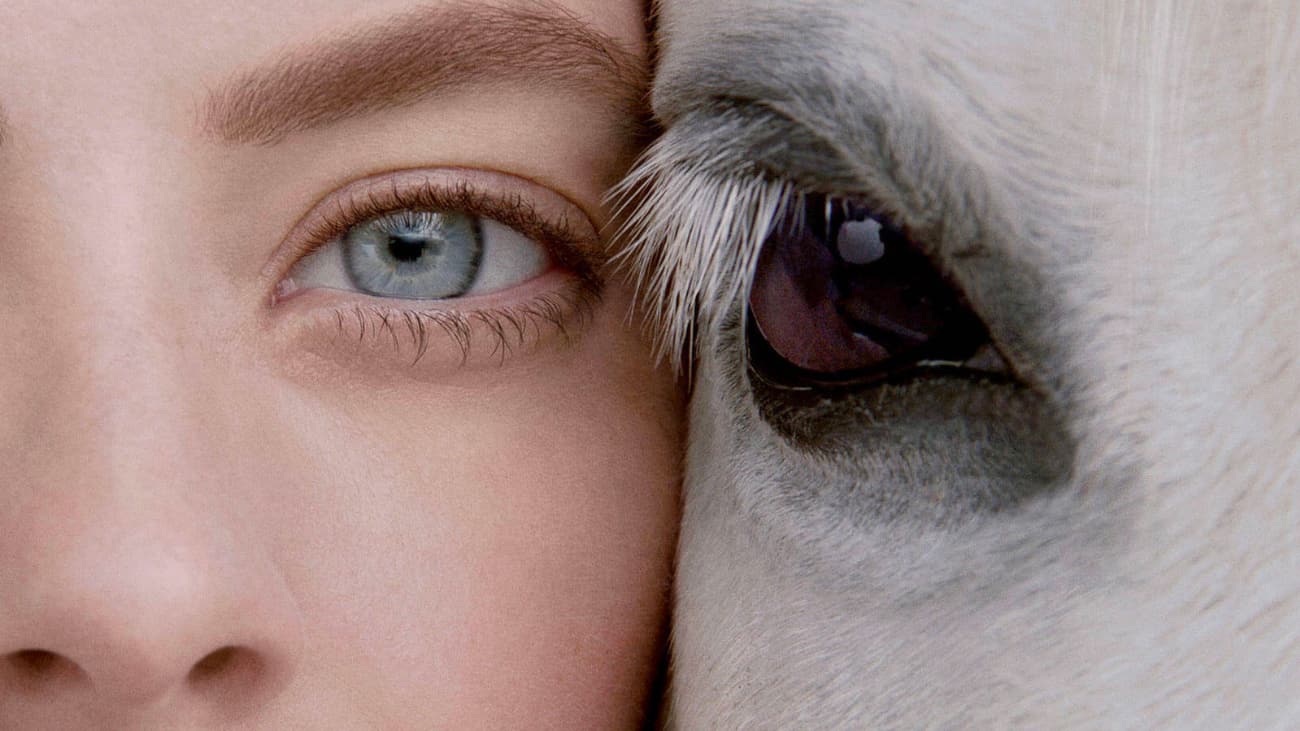 ¿Qué son y por qué están de moda los productos Cruelty Free?