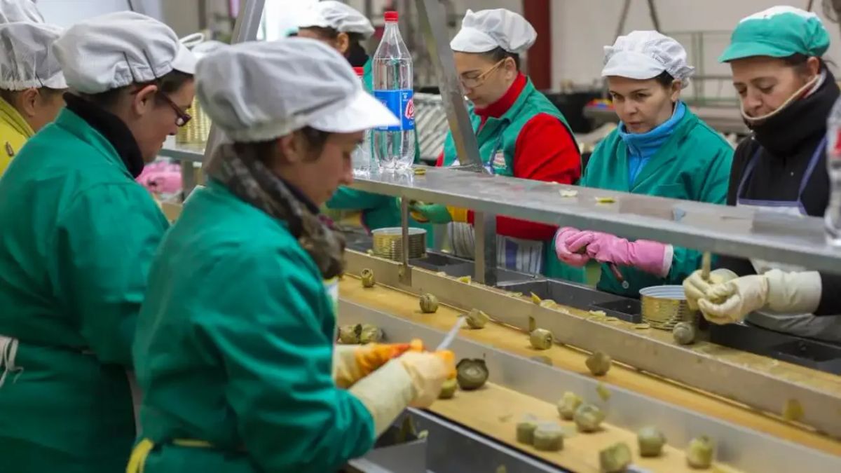 Empleo: Interempleo Almería oferta  120 vacantes para envasadoras y 90 para peones agrícolas