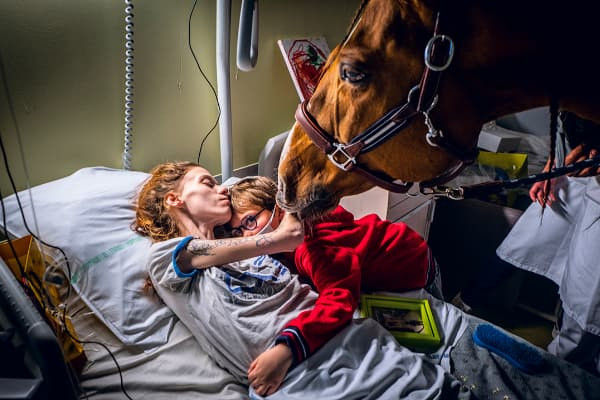 caballo peyo con pacientes