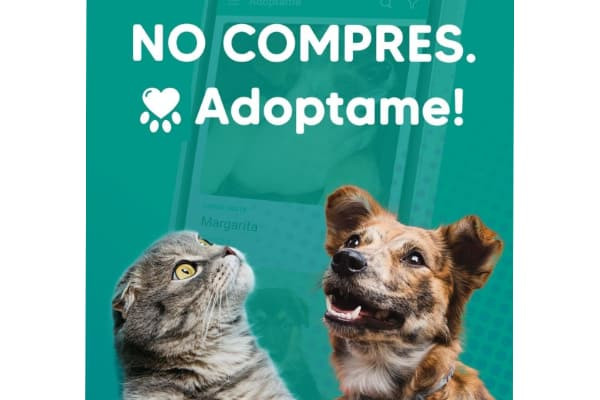 app movil adoptaMe