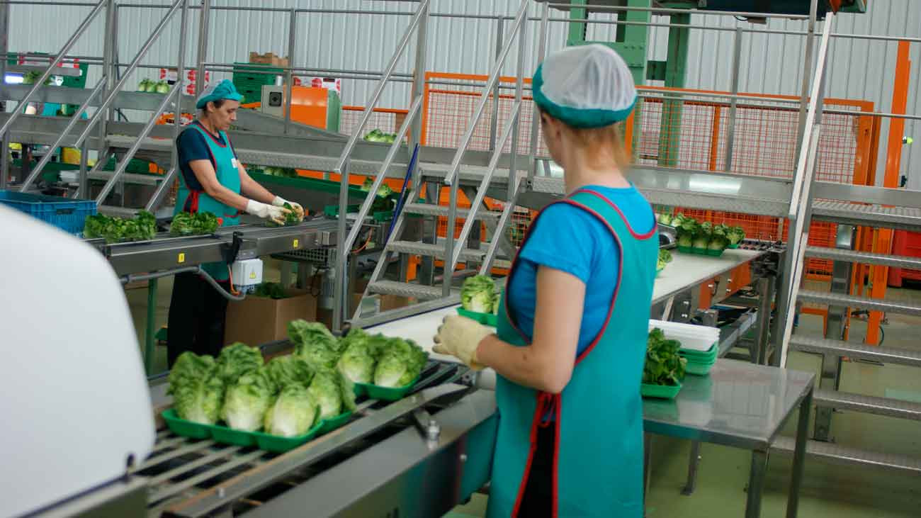 trabajadores manipulando alimentos