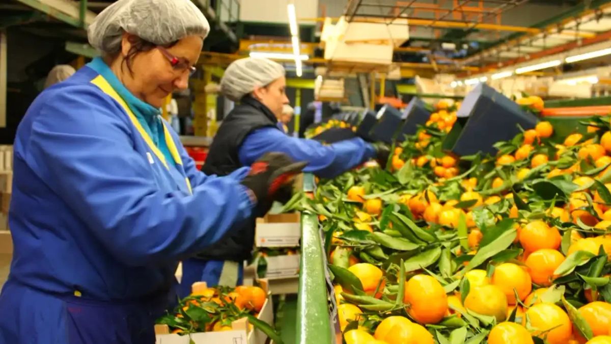 Una empresa publica en Málaga una bolsa de trabajo para 30 envasadores