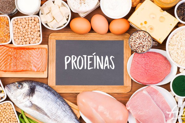 proteina animal dieta keto