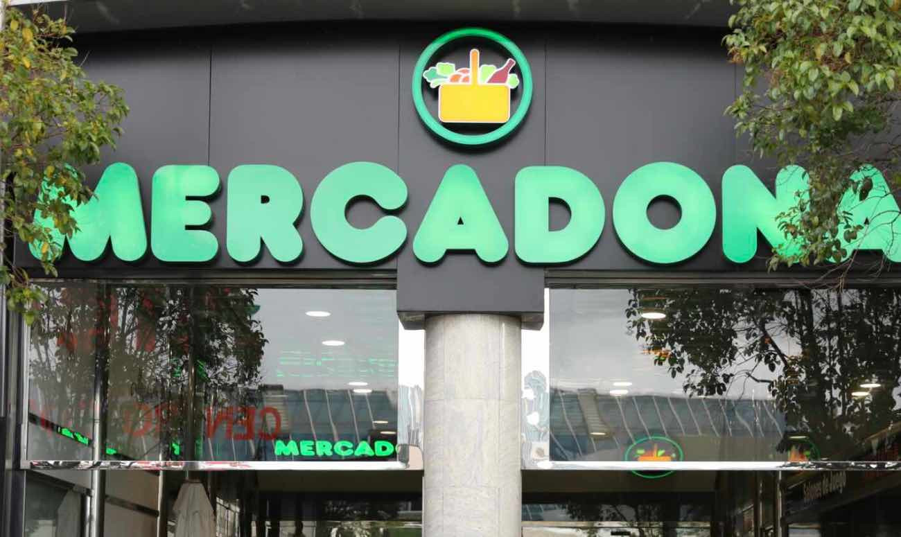 Té matcha Mercadona Té matcha Mercadona