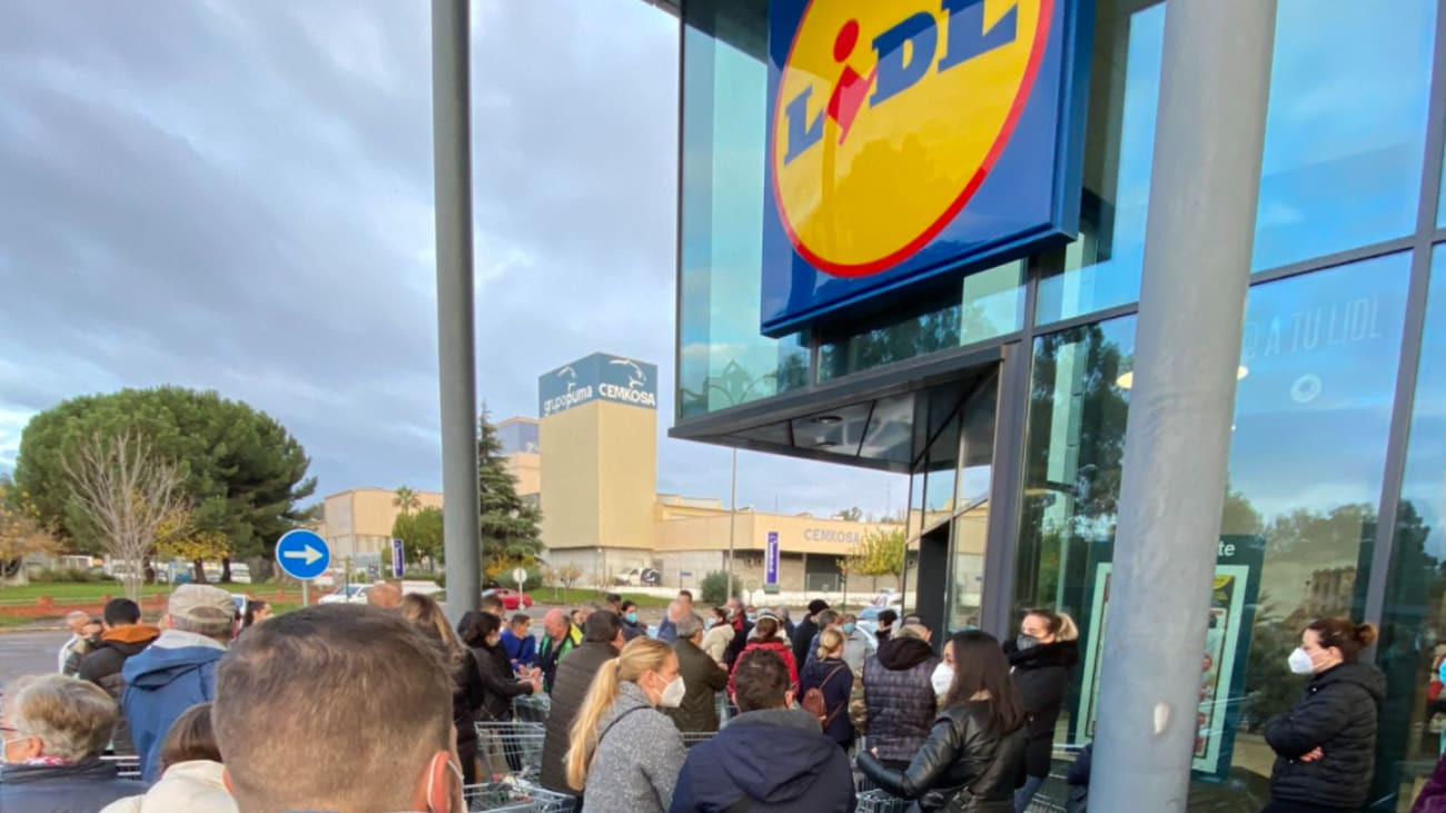 grifo Lidl