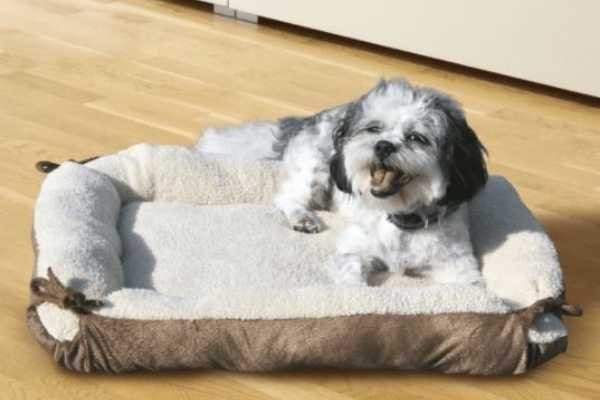 cama para perros y gatos de ALDI