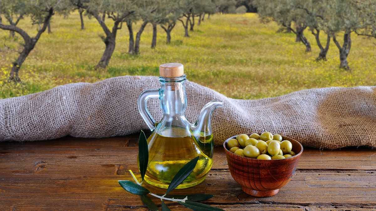 El precio del aceite de oliva en 2024