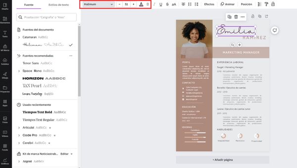 Cambiar tipografía del cv en Canva