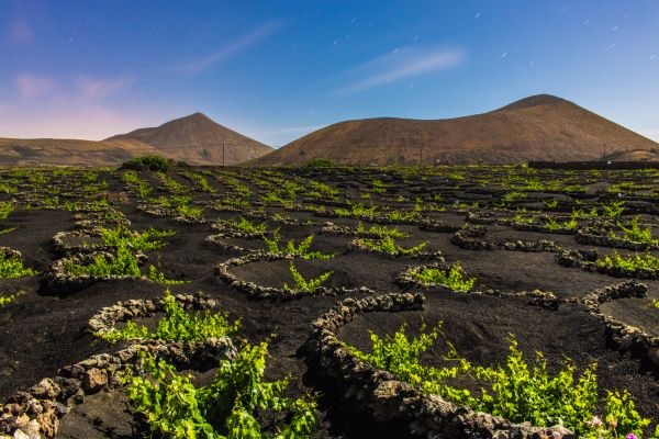 Paisaje de Lanzarote