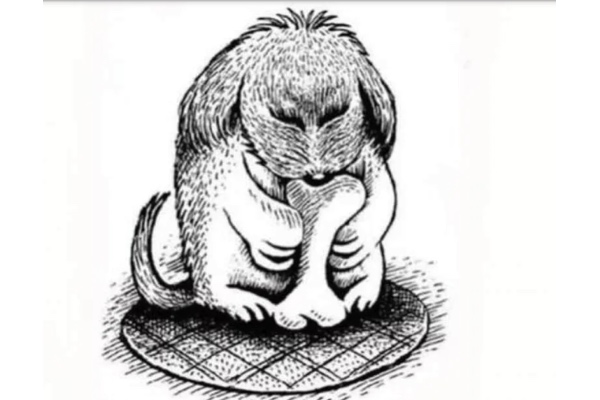 Reto visual: solución