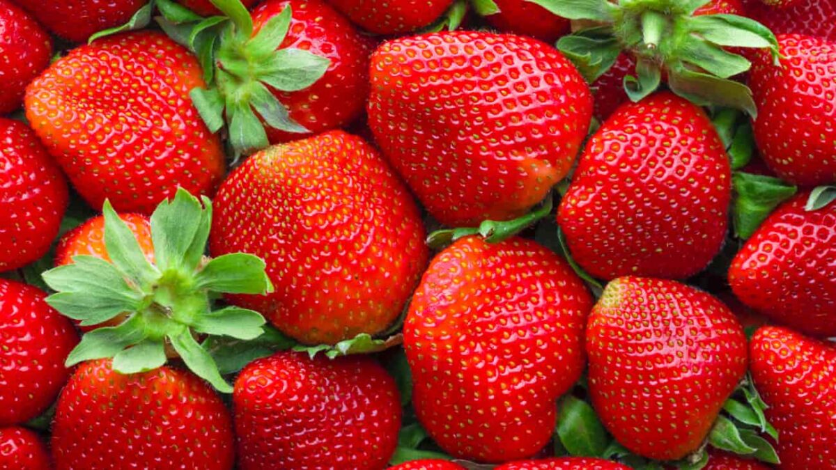 fresas de Huelva vendidas en Lidl