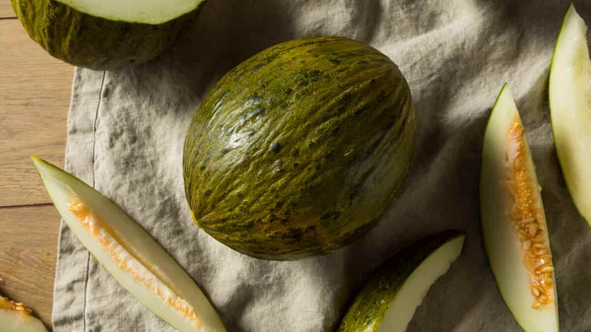 Melón de piel de sapo en oferta en Lidl
